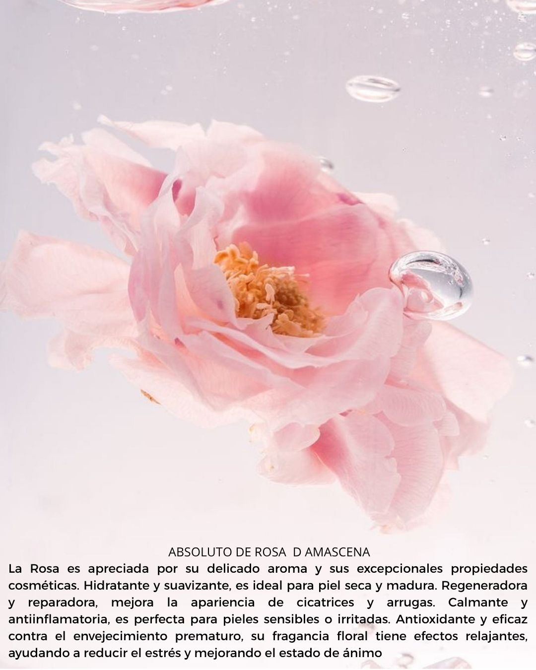 Créme Rosé